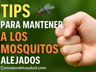 imagen del puño de un hombre joven y un mosquito.