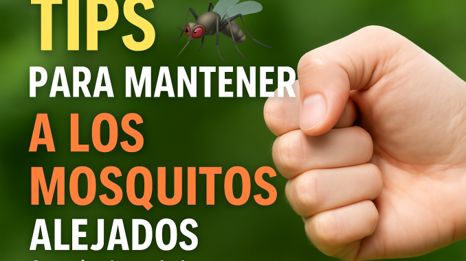 mosquitos imagen del puño de un hombre joven y un mosquito.