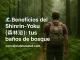 foto de un hombre de espalda, caminando en el bosque