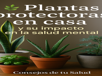 Cuatro plantas protectoras junto a una ventana con el texto “Plantas protectoras en casa - Consejos de tu Salud