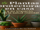 Cuatro plantas protectoras junto a una ventana con el texto “Plantas protectoras en casa - Consejos de tu Salud
