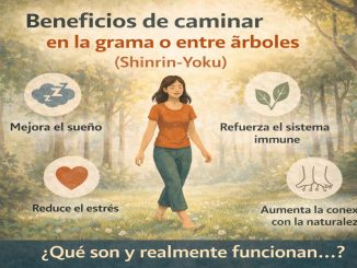 Persona caminando descalza sobre grama en un bosque, disfrutando de la naturaleza y sus beneficios.