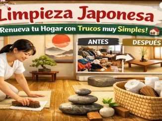 Mujer limpiando casa japonesa con cepillo, antes y después del orden, estilo zen y minimalista